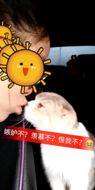 新京华烟云强奸六间房