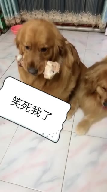 校园强女生 一夜情