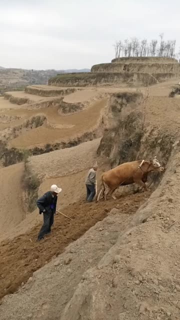 春吉吉影音日韩片宫图